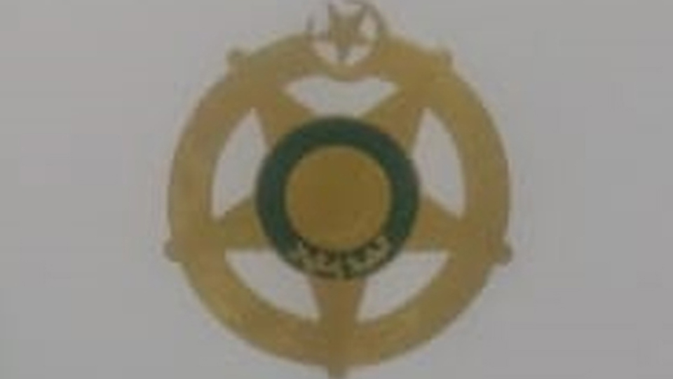 Tamgha-e-Imtiaz medal